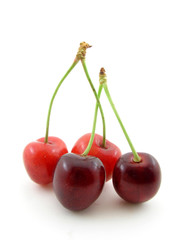 Sweet cherry