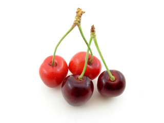 Cherry