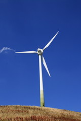 Windrad