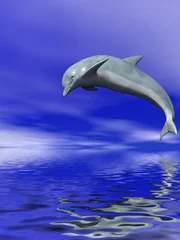 Zelfklevend Fotobehang Dolfijn © Sergey Tokarev