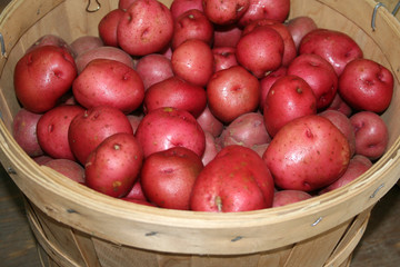 Fototapeta na wymiar Red Potatoes