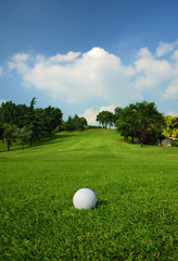 Golf course - 8161195