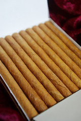 A close-up shot of stylish cigarillo package