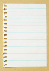 Obraz premium paper