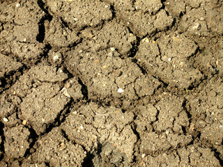 dry cracked soil