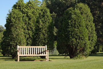 Park Bench