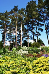 Fototapeta premium Park