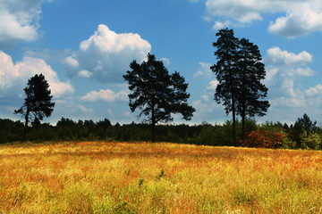 Rural autumn landscapes