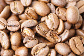 coffee beans background