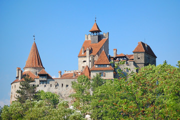 Obraz premium Dracula Castle
