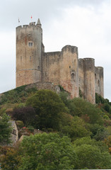 Castle in French town Najac
