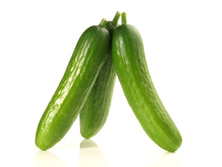 Salatgurken