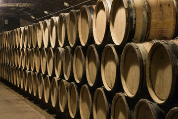 vine and vine growing