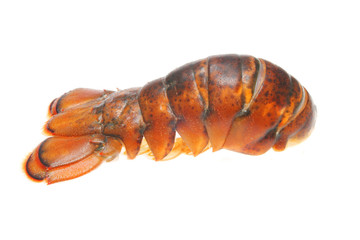 Lobster tail
