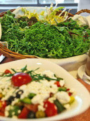 salat,antipasti, vorspeise büffet