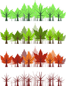 Maple Leaf forest - four seasons