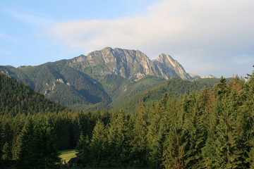 high mountain over the forest in sunny day