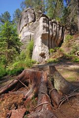 Fototapety na wymiar - Fototapeta24.pl