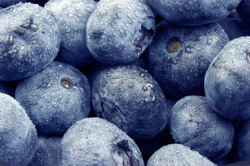Blueberries