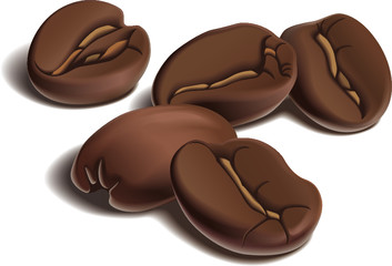 Roasted coffee beans on white background. Vector illustration.