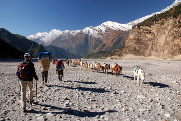 Walk in a river bed