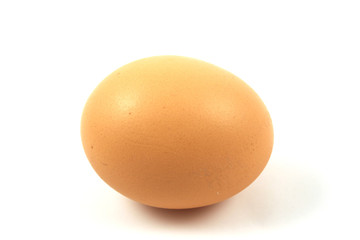 egg close up 