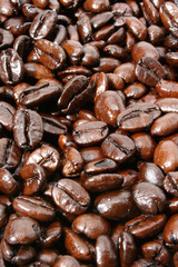 Dark and shiny French Roasted coffee beans closeup