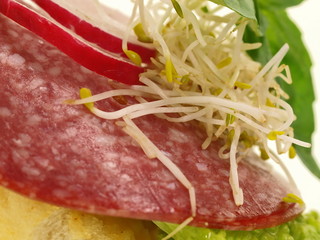 belegte brötchen,baguette,salami,salat,radieschen,sprossen