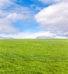 Green field and blue sky