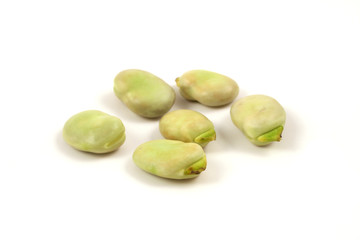 broad bean seeds