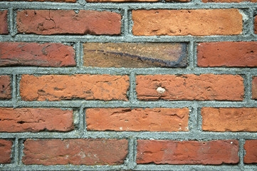 Fototapeta premium Old brick wall