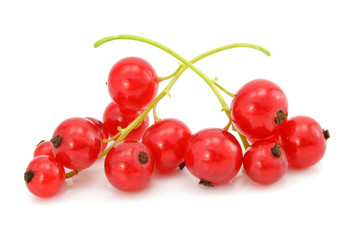 branch of red currant fruits isolated
