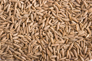 Fototapeta premium Pile of cumin spice close up