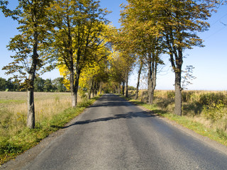 Obraz premium Straight route