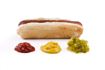 Hotdog with Condiments