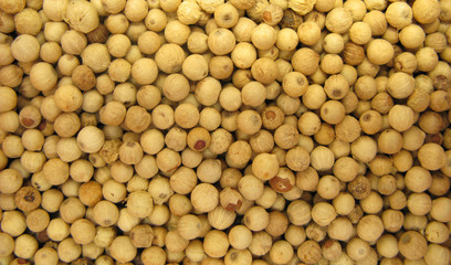 White pepper peppercorns