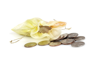 Coins in Gold Bag