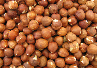 Hazelnuts common perfect