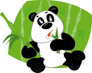 Panda eats leaves bamboo