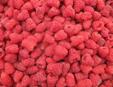 Raspberries perfect