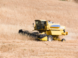 Obraz premium harvesting machine of the wheat