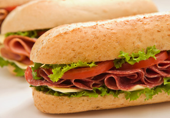 Whole wheat salami submarine sandwich detail