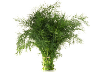 Dill