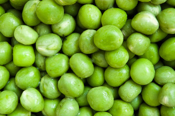 green pea