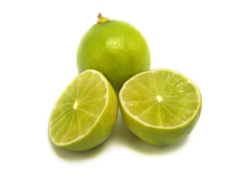 Lime family