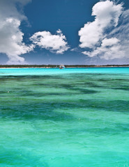 playa de´s trenc en mallorca