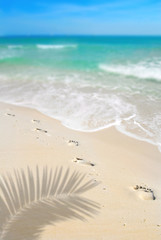 Footprints on Beach