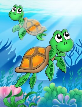 Little sea turtles