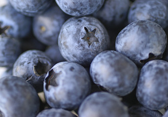 Blaubeere
