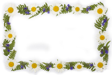 Frame from leafs and flowers